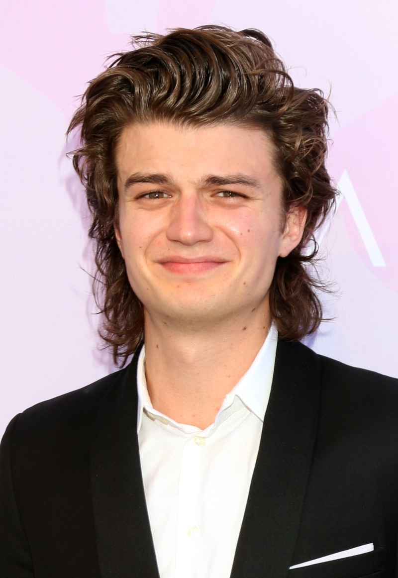 Joe Keery Mullet 2017