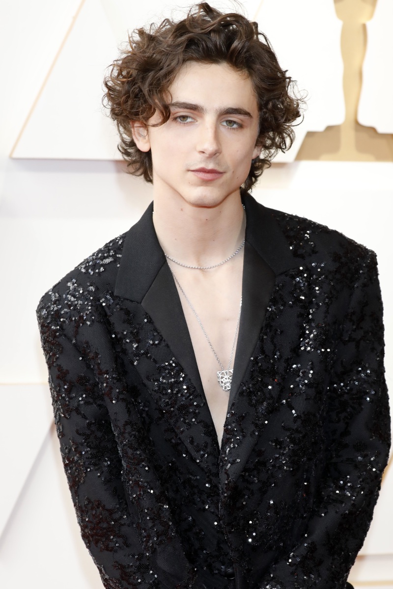 Timothee Chalamet Curtains Hairstyle 2022